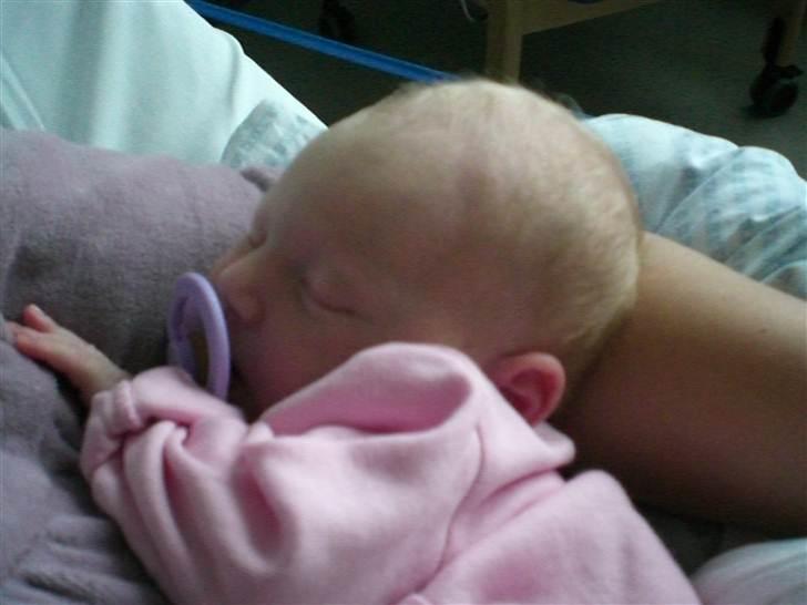 Pige Gabriella Sophia billede 5