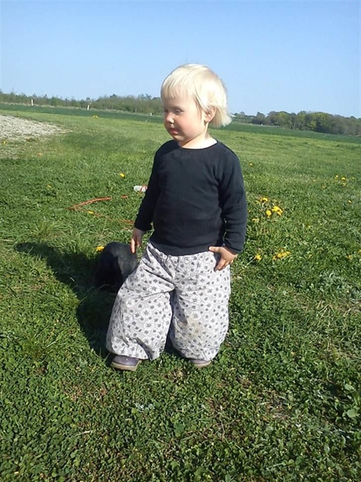 Pige Thilde billede 12