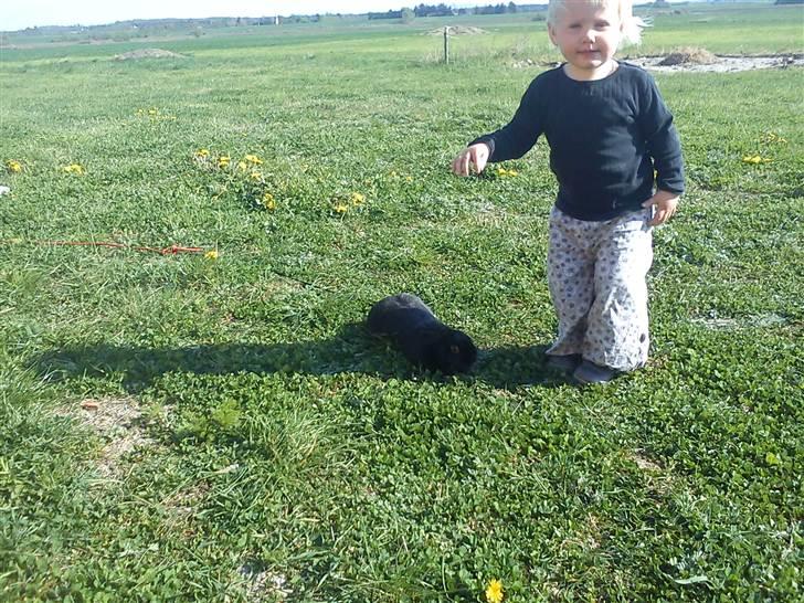 Pige Thilde billede 13