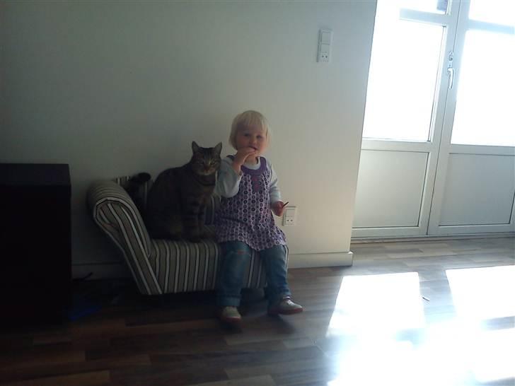 Pige Thilde billede 14