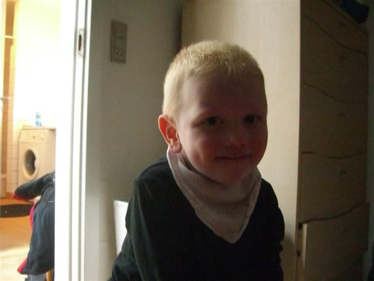 Dreng Valdemar - valdemar 2 ½ år billede 2