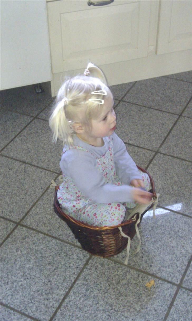Pige Anna Sofie billede 15
