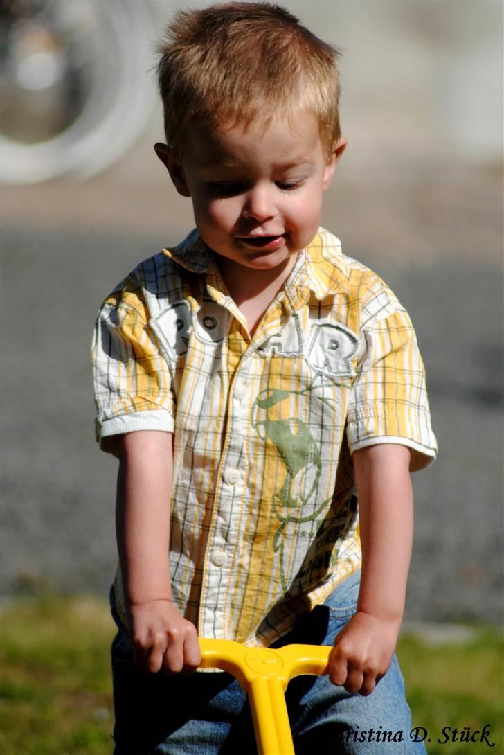 Dreng Noah billede 12
