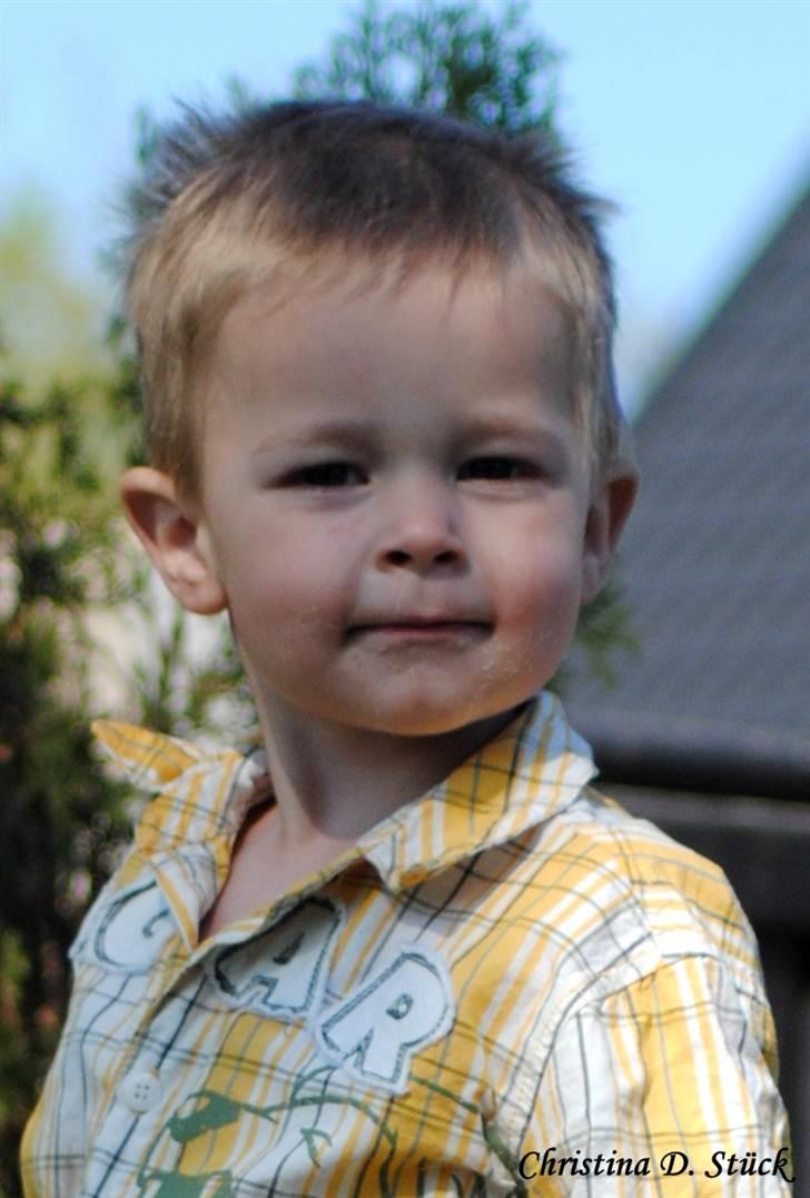 Dreng Noah billede 13
