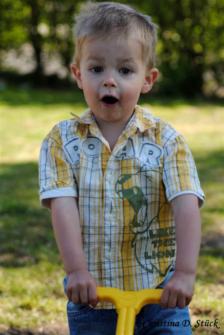 Dreng Noah billede 14