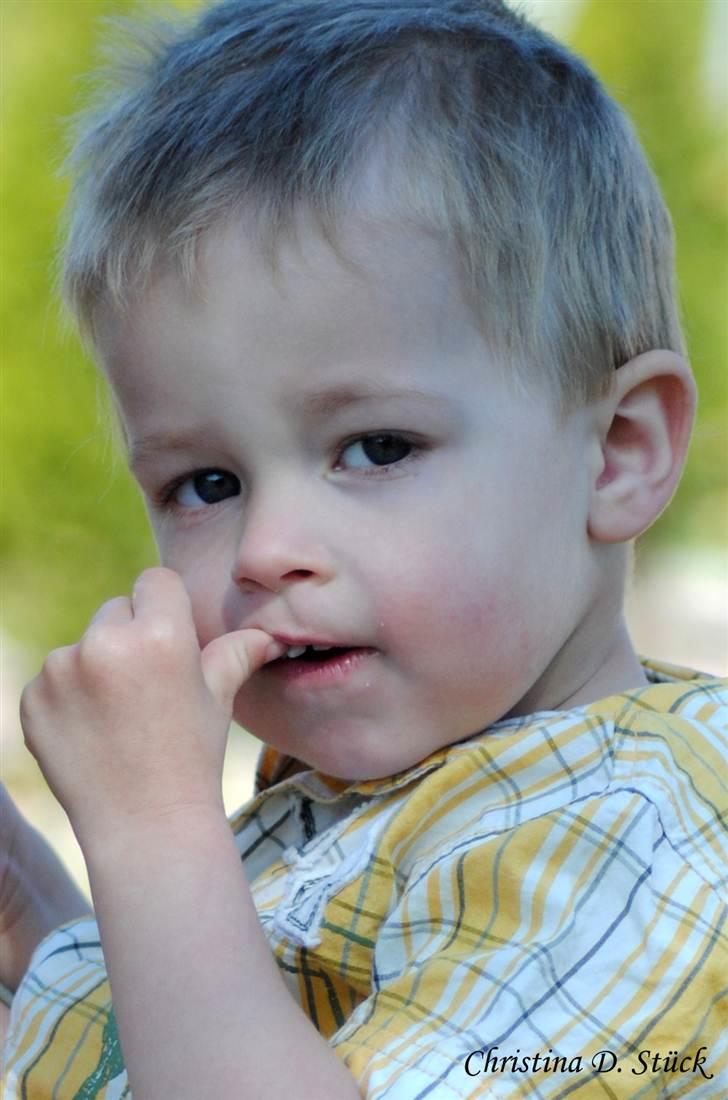 Dreng Noah billede 15