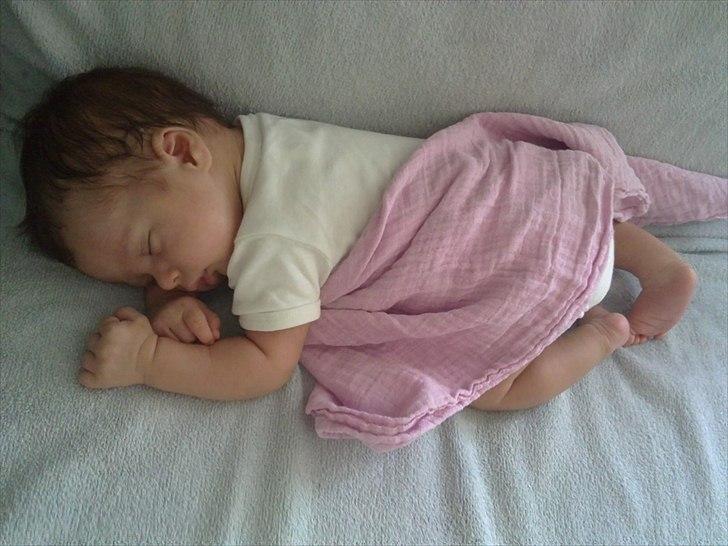 Dreng Sean billede 5