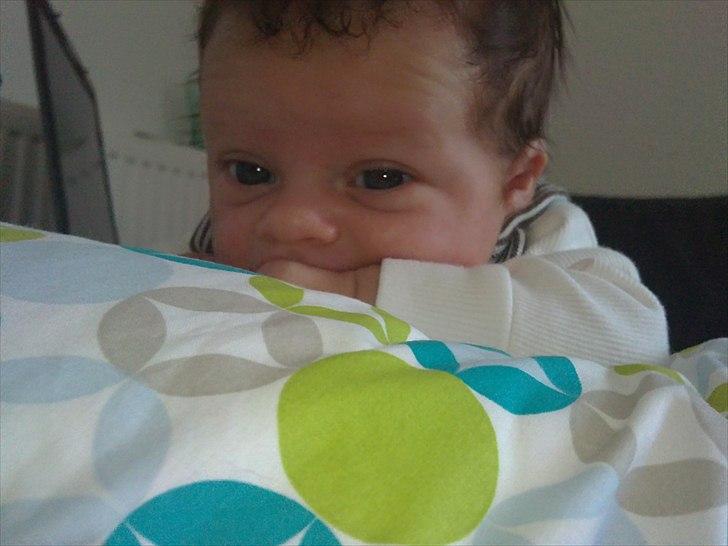 Dreng Sean billede 6