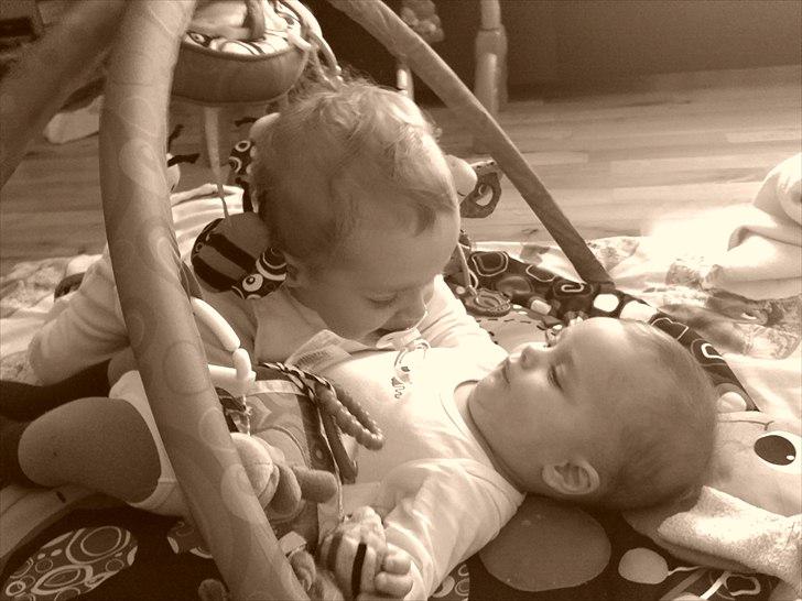 Dreng Sean billede 9