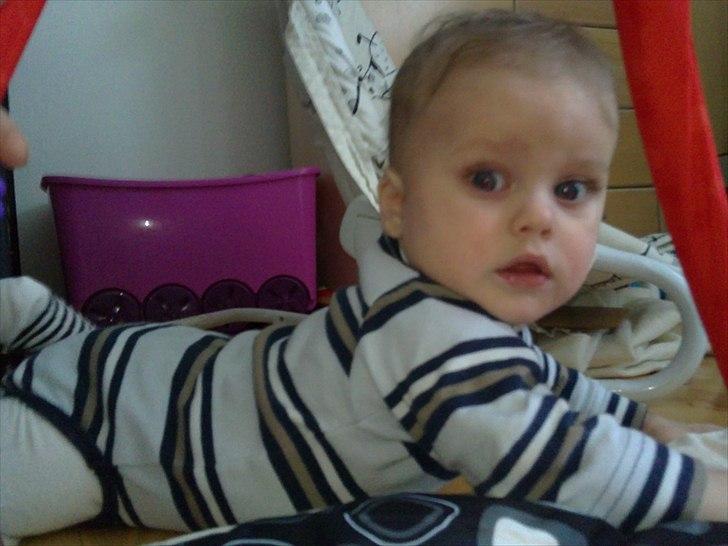 Dreng Sean billede 11