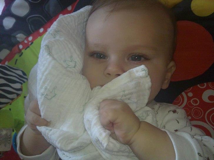 Dreng Sean billede 10