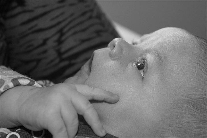 Pige Frederikke billede 1