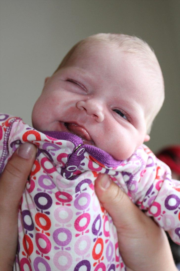 Pige Frederikke billede 2