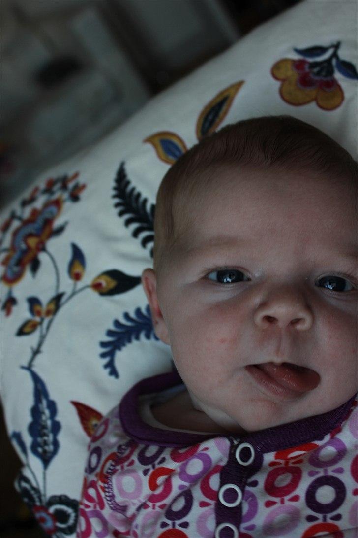 Pige Frederikke billede 3