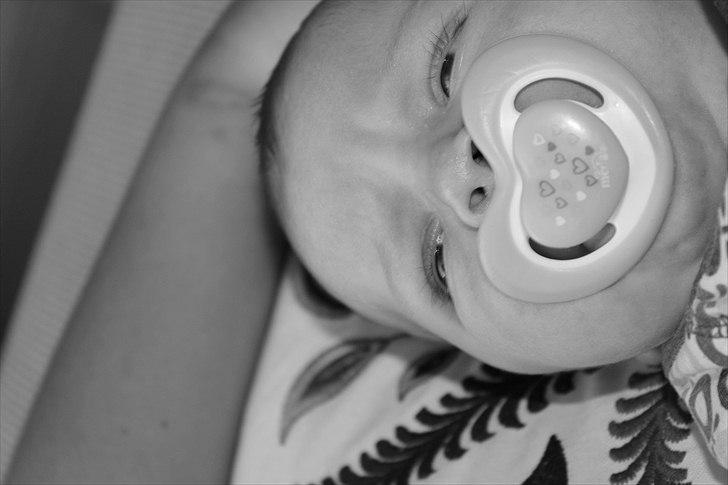 Pige Frederikke billede 5