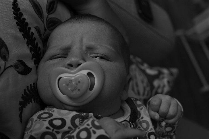 Pige Frederikke billede 6