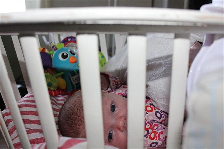 Pige Frederikke billede 7