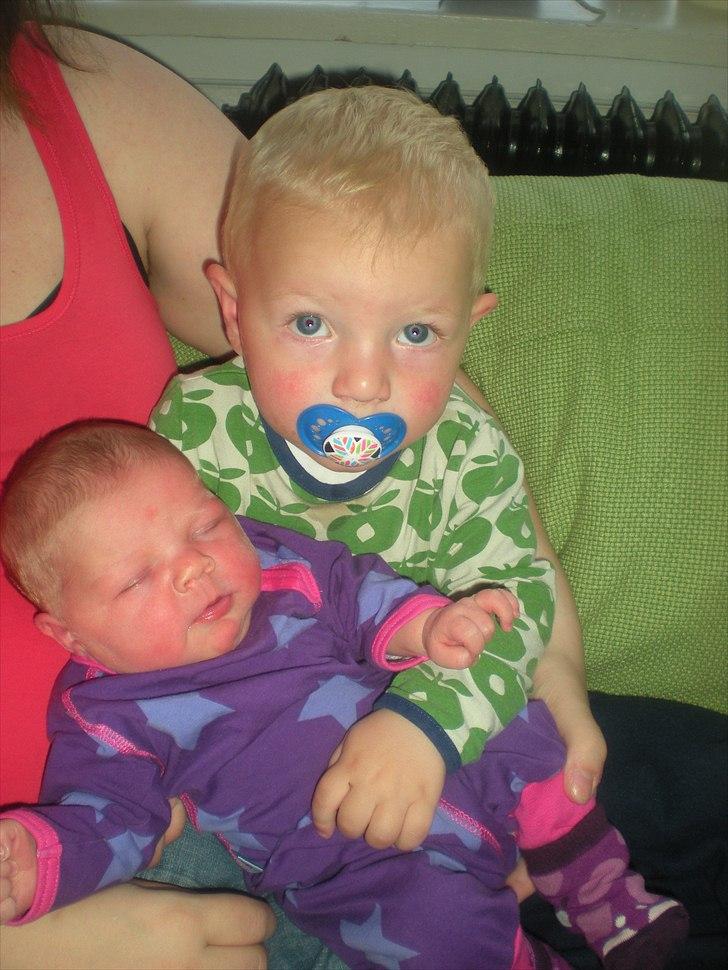 Pige Frederikke billede 8