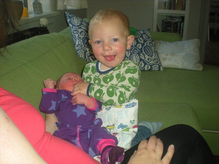 Pige Frederikke billede 9