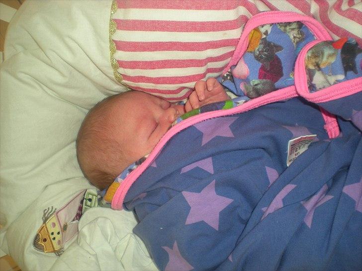 Pige Frederikke billede 10