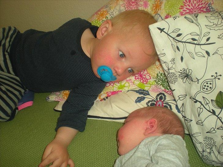 Pige Frederikke billede 11