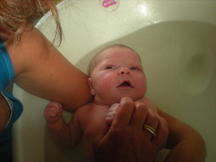 Pige Frederikke billede 13