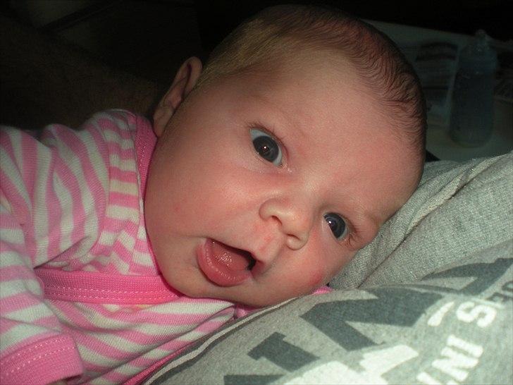 Pige Frederikke billede 14