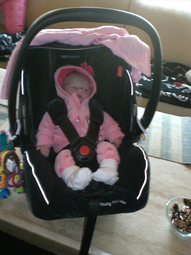 Pige Gabriella Sophia billede 9