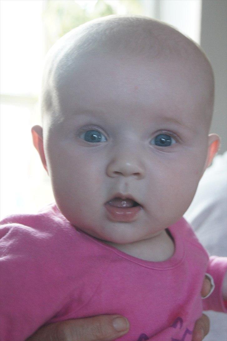 Pige Sabrina  billede 11
