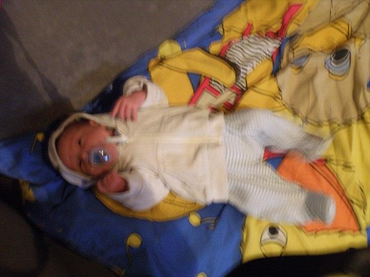 Dreng cemal (jemal) billede 2