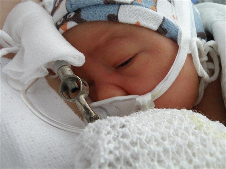 Dreng cemal (jemal) billede 4