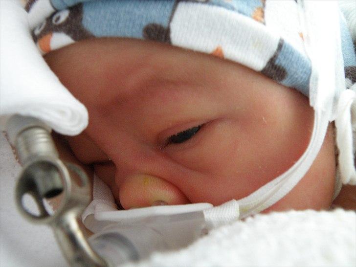 Dreng cemal (jemal) billede 5