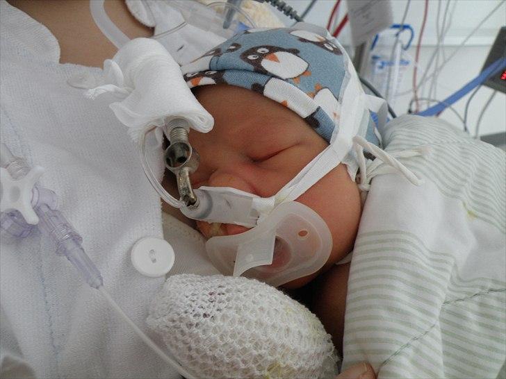 Dreng cemal (jemal) billede 7