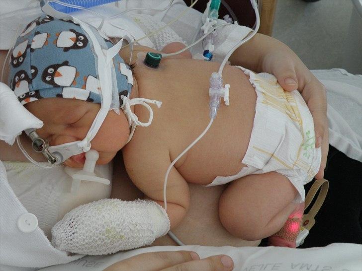 Dreng cemal (jemal) billede 8