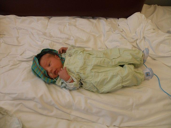 Dreng cemal (jemal) billede 12