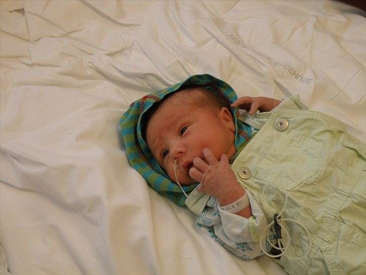 Dreng cemal (jemal) billede 13