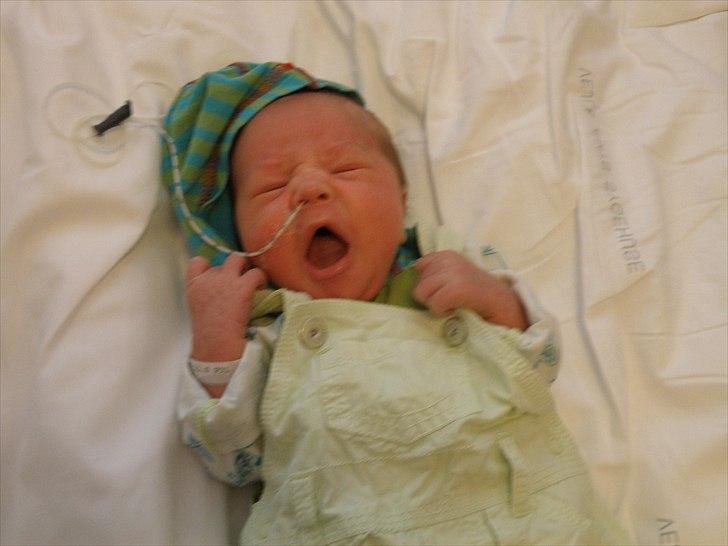 Dreng cemal (jemal) billede 14