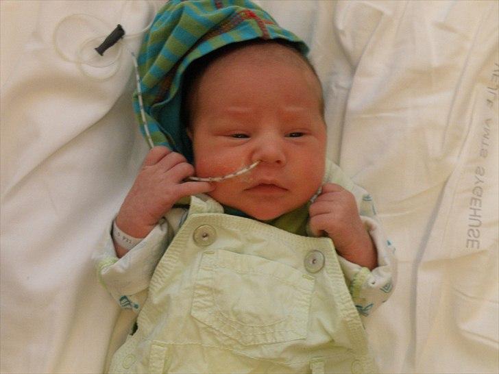 Dreng cemal (jemal) billede 15