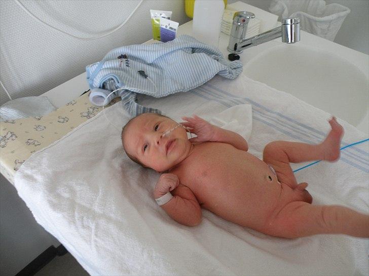 Dreng cemal (jemal) billede 16