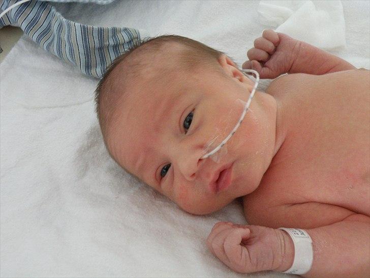 Dreng cemal (jemal) billede 17