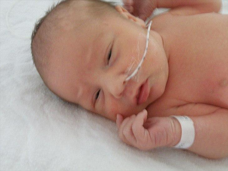 Dreng cemal (jemal) billede 18