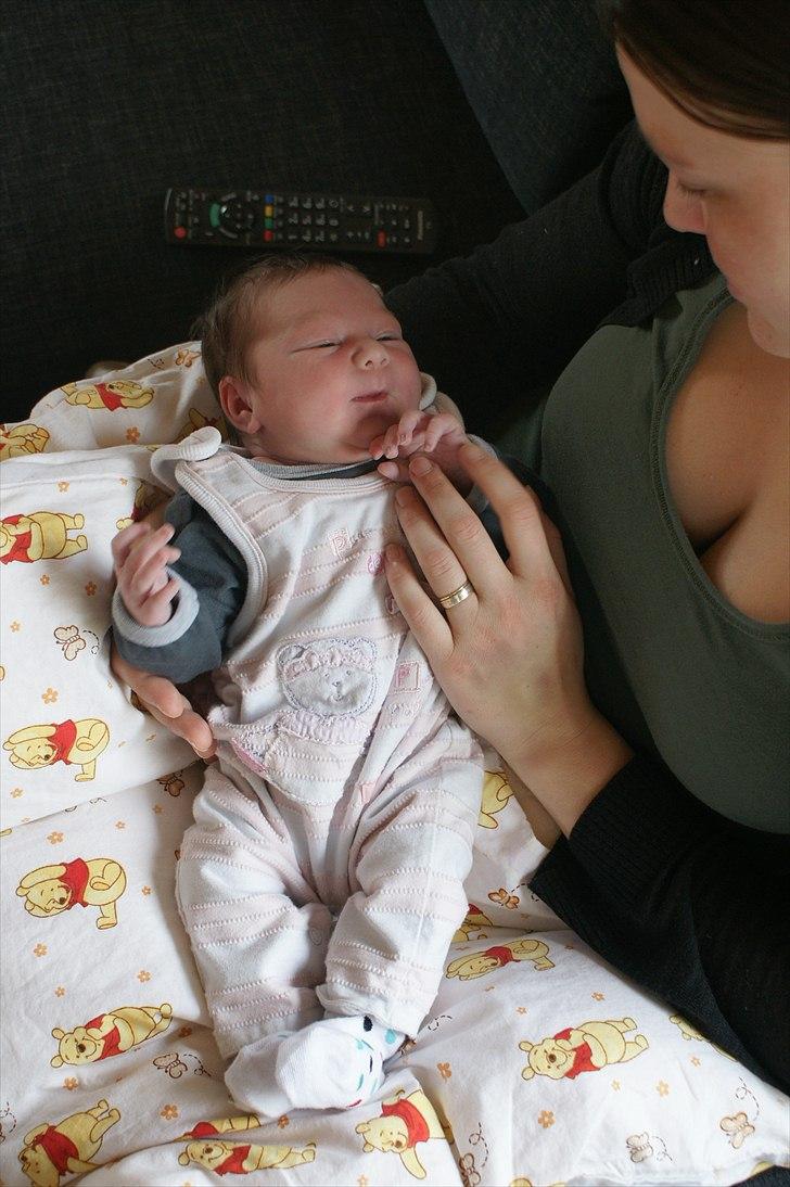 Pige Amalie billede 1