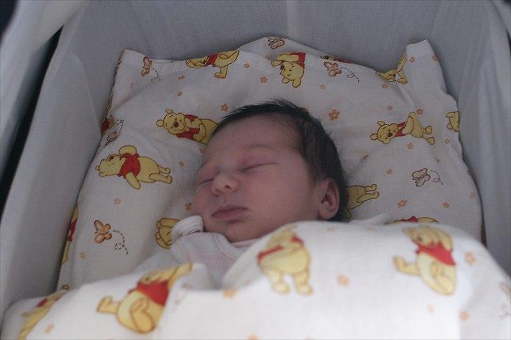 Pige Amalie billede 2