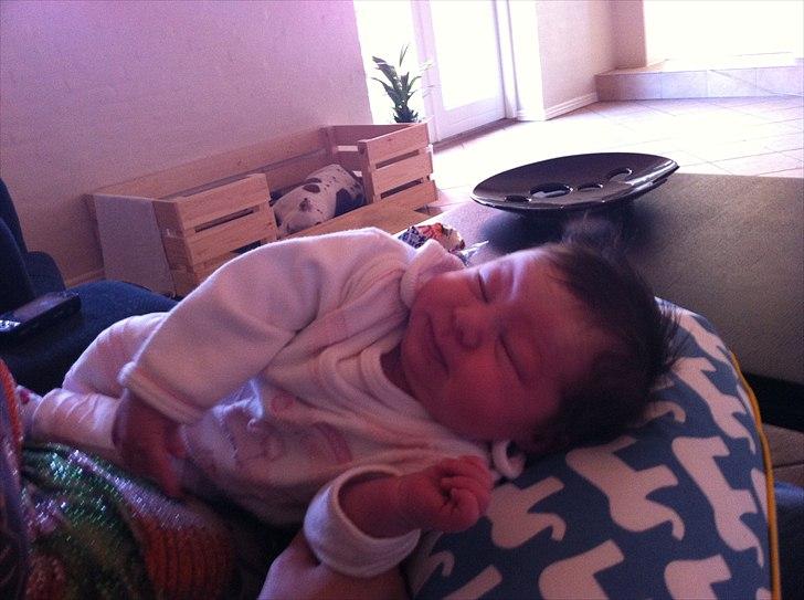 Pige Amalie - her er jeg to uger gammel billede 3