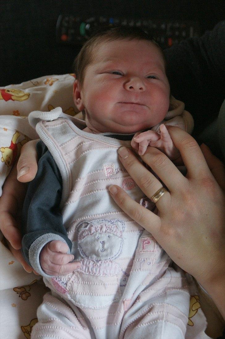 Pige Amalie billede 5