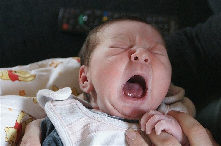 Pige Amalie billede 6