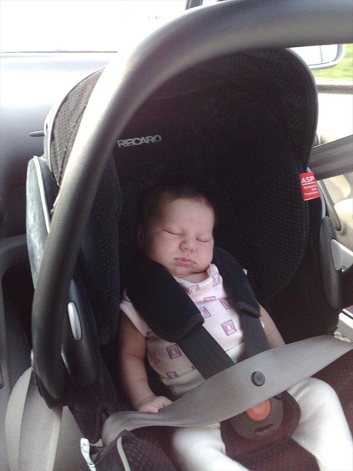 Pige Amalie - sove kan man da også i bilen billede 7