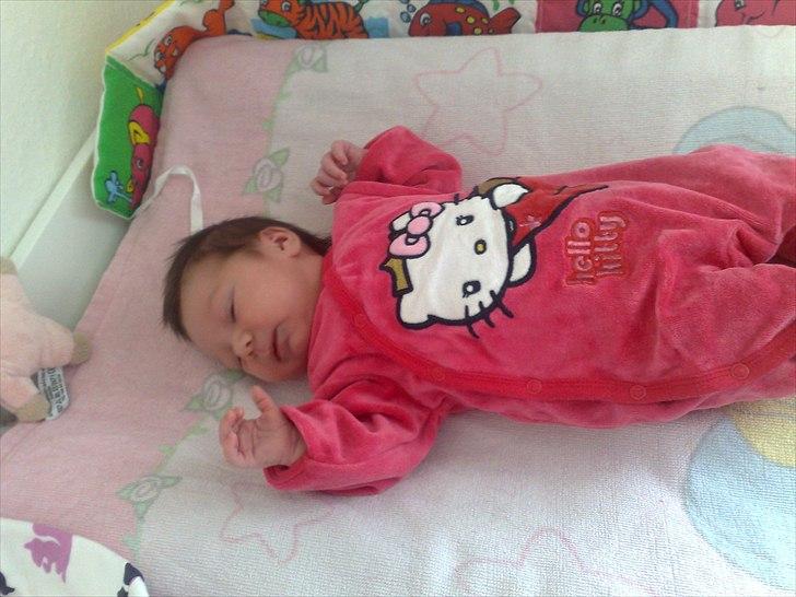 Pige Amalie billede 8