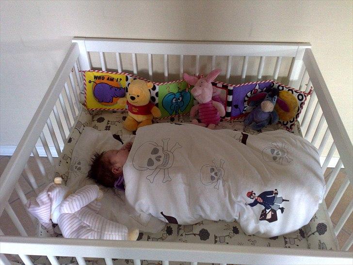 Pige Amalie - sover sammen med mine bamser billede 9