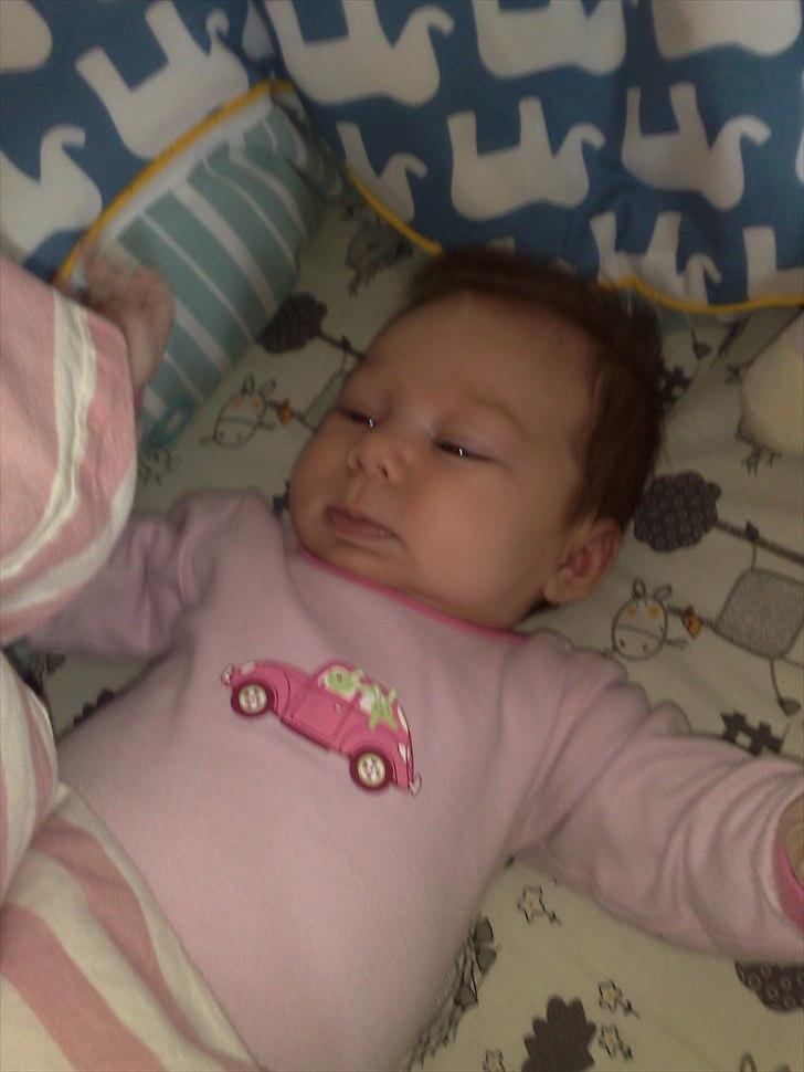 Pige Amalie billede 13